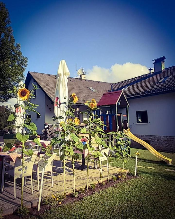 Guest house Pansion Danica