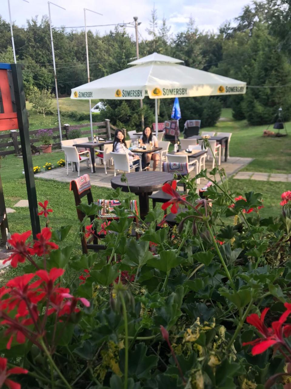 Pansion Danica 3* Rastovača